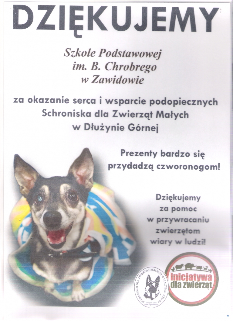 Akcja &quot;Psu na budę 2017&quot;